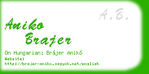 aniko brajer business card